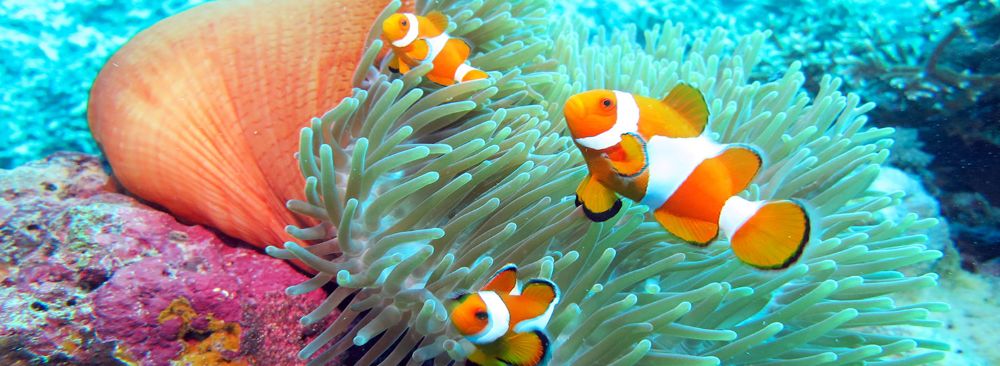 hero image for travel ideas detail