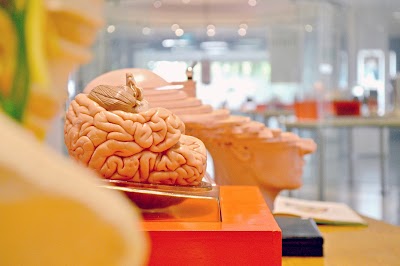 Museum Anatomi FKIK Universitas Katolik Indonesia Atma Jaya