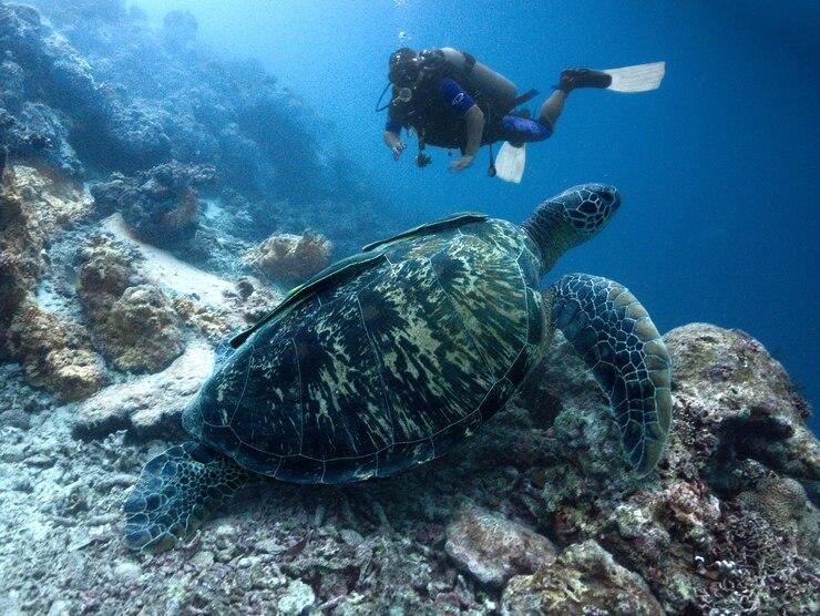 Diving Lombok Island