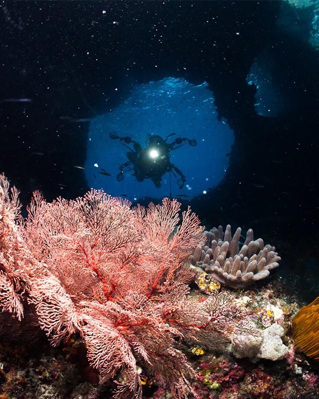 hero image for travel ideas detail