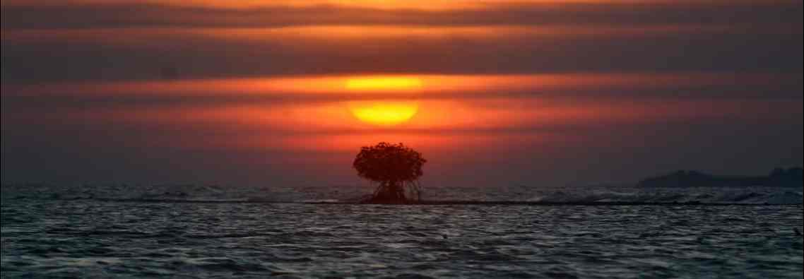 hero image for travel ideas detail