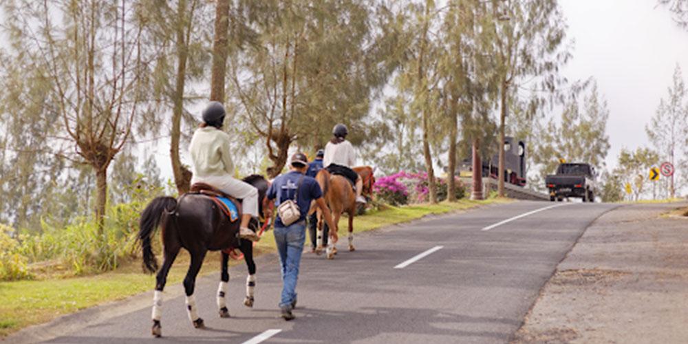 hero image for travel ideas detail