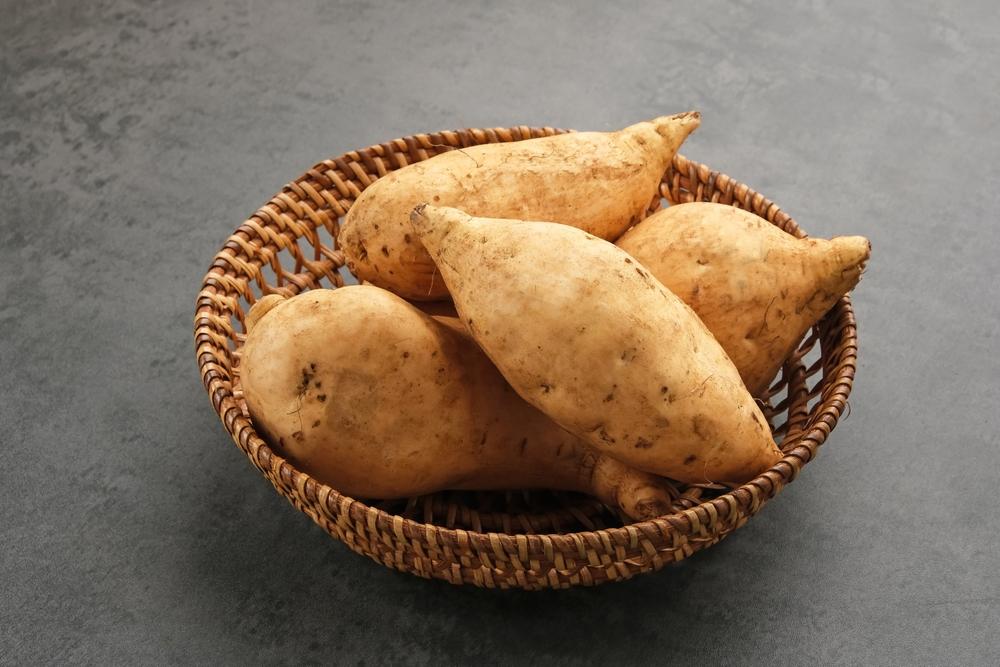 hero image for travel ideas detail