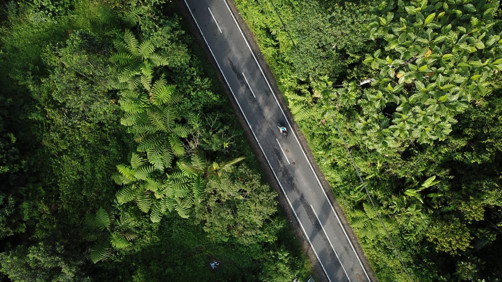 Taman Nasional Bukit Barisan Selatan yang Memukau di Lampung