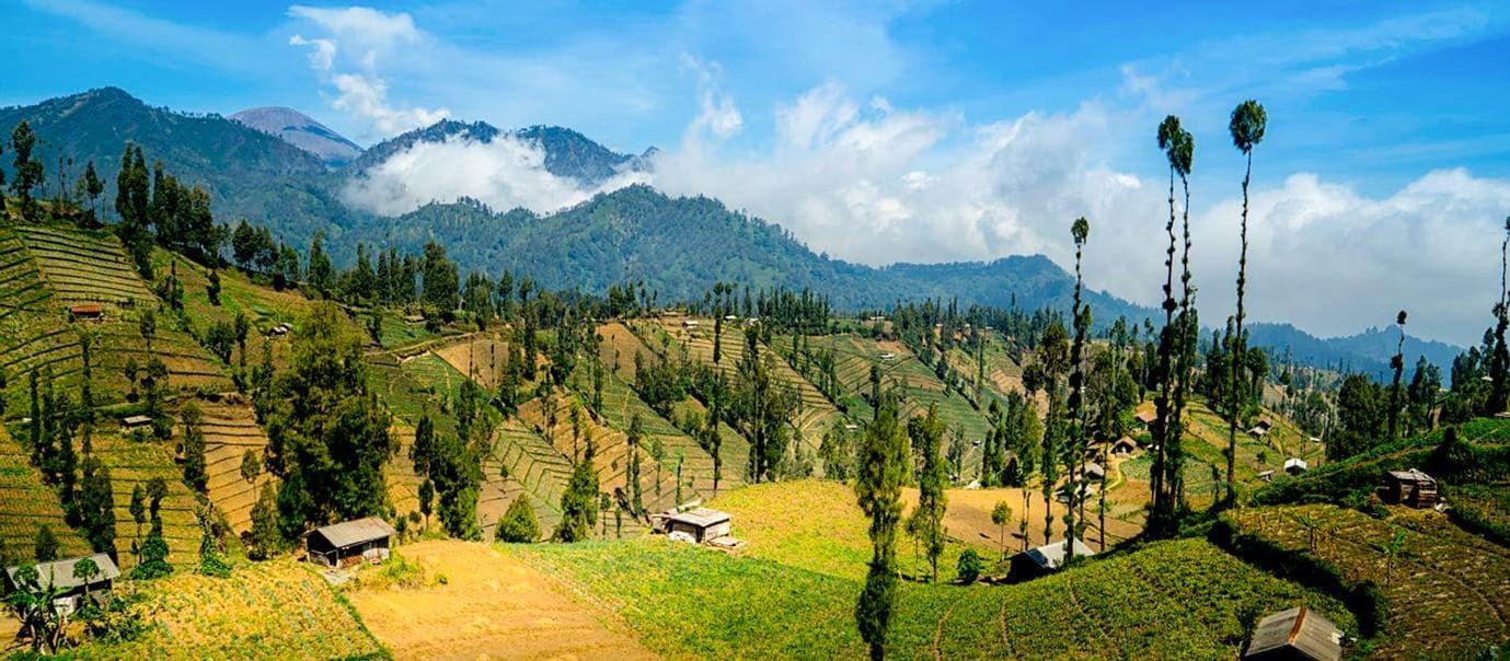 NGADAS，一座位於東爪哇婆羅摩火山雲端的寧靜村莊