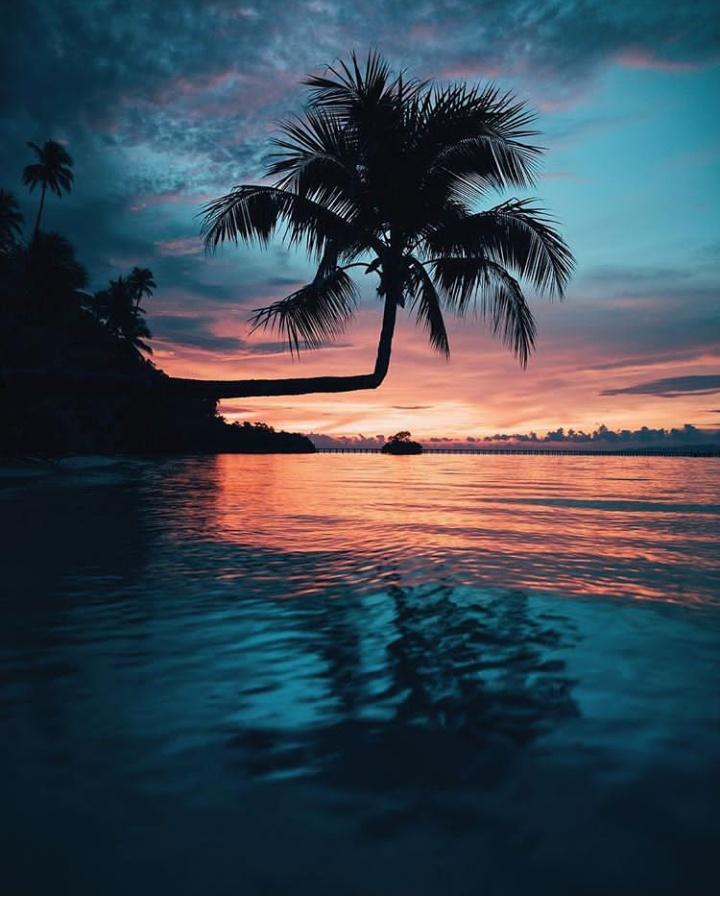 美妙之旅：四王岛天堂