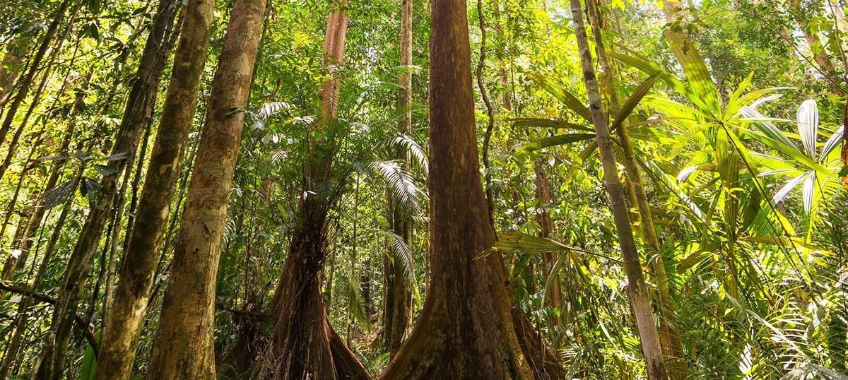 hero image for travel ideas detail