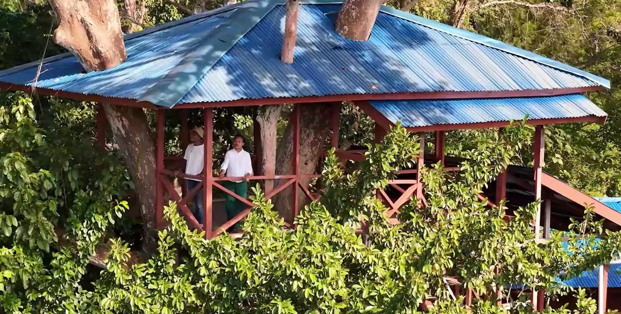 hero image for travel ideas detail