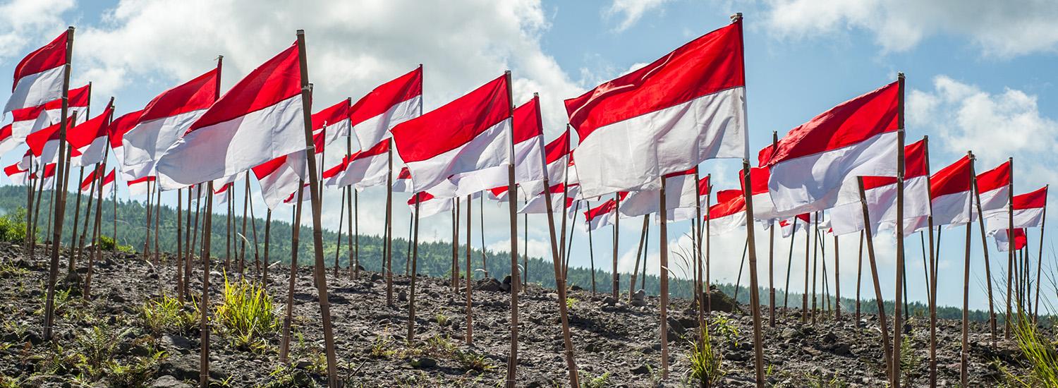 hero image for travel ideas detail