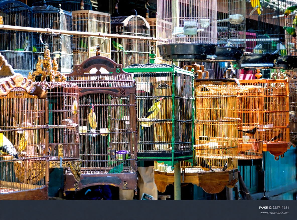 hero image for destination detail