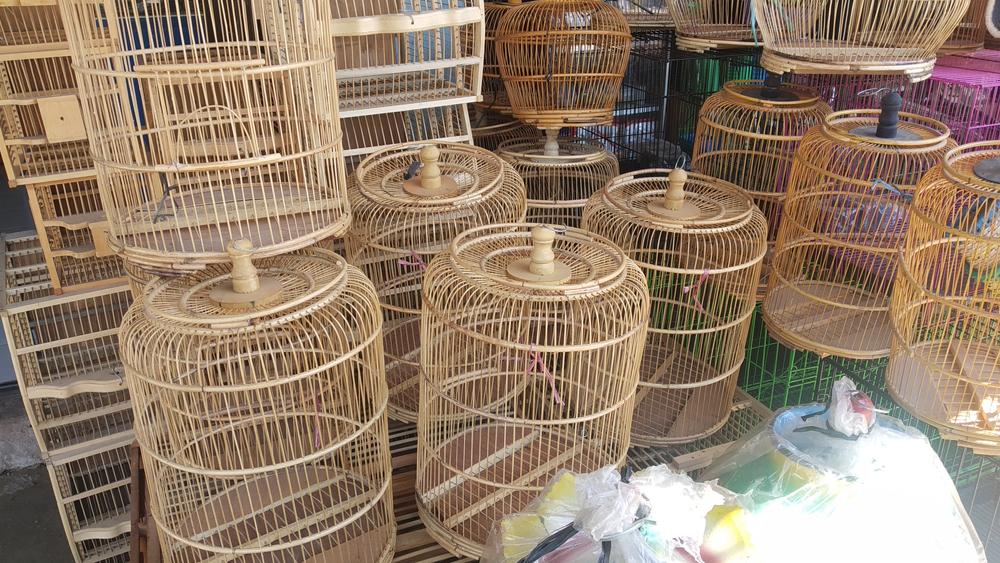 Pasar Burung Satria
