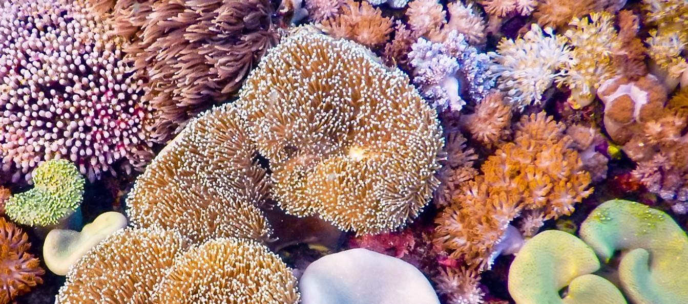 hero image for travel ideas detail