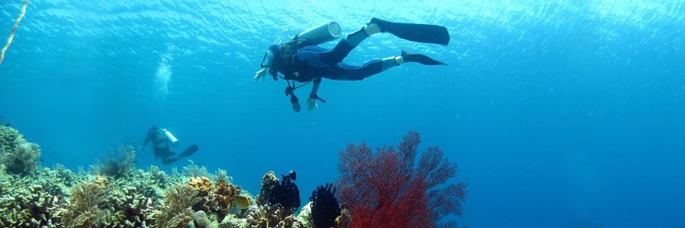 hero image for travel ideas detail