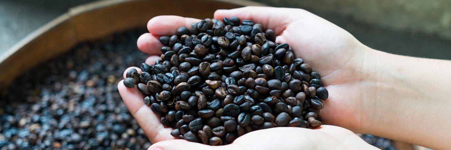 hero image for travel ideas detail