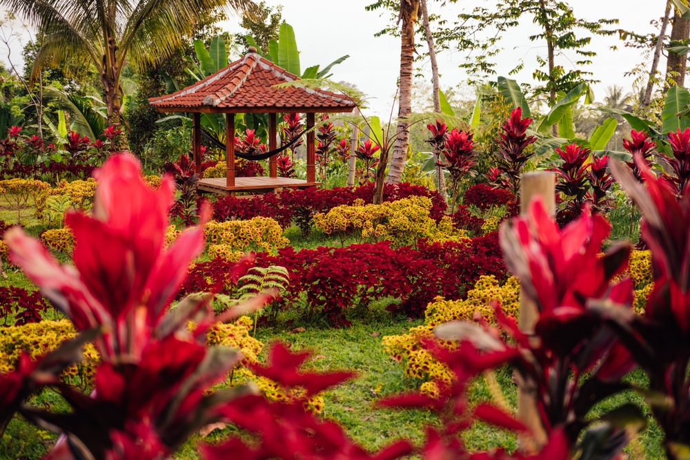 Taman Rengganis dan Wisata Alam di Sekitar Lombok Timur