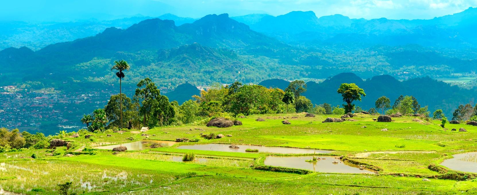 9 Things You Should Add to Your Must-Do List in Tana Toraja