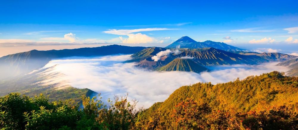 hero image for travel ideas detail