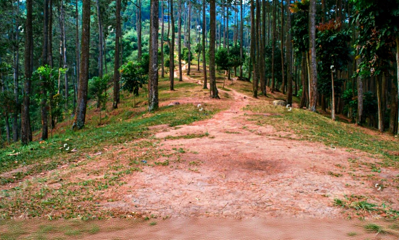 hero image for travel ideas detail