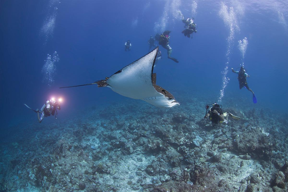 hero image for travel ideas detail