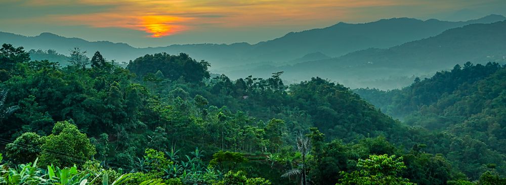 hero image for travel ideas detail