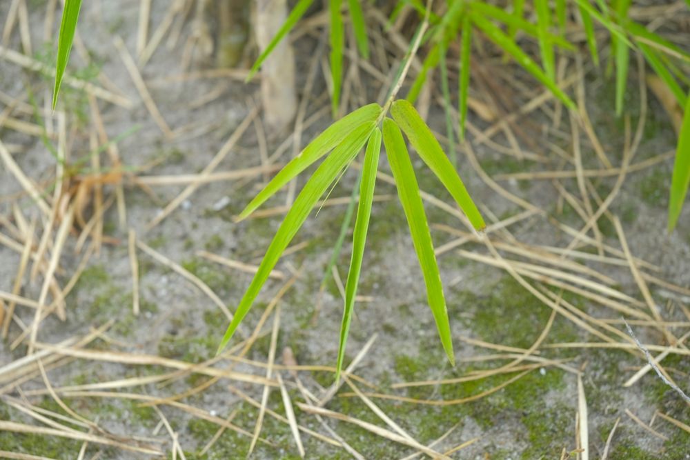 hero image for travel ideas detail