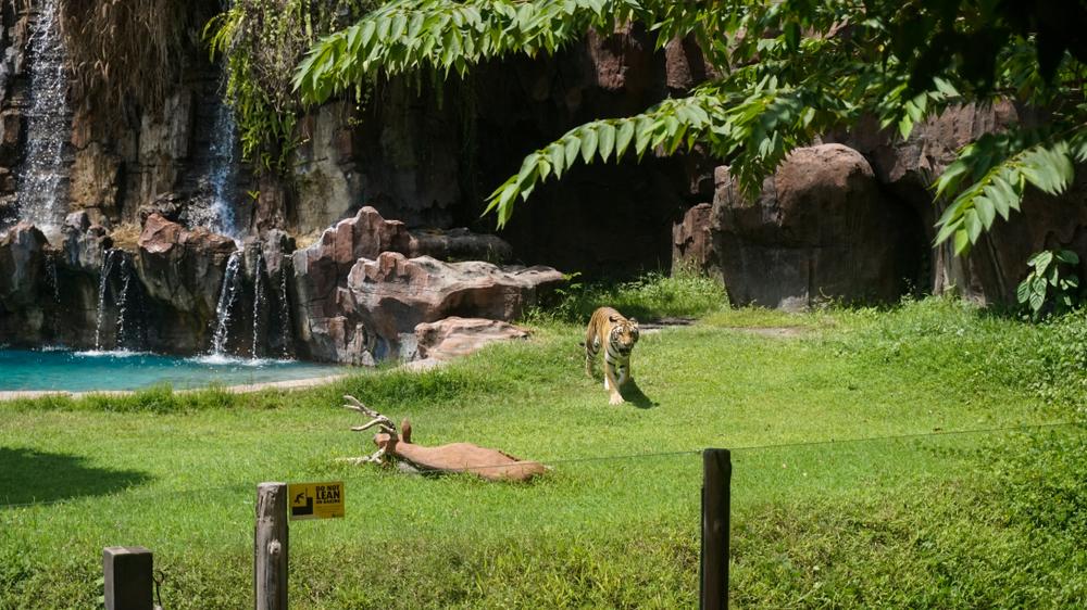 Bali Safari & Marine Park