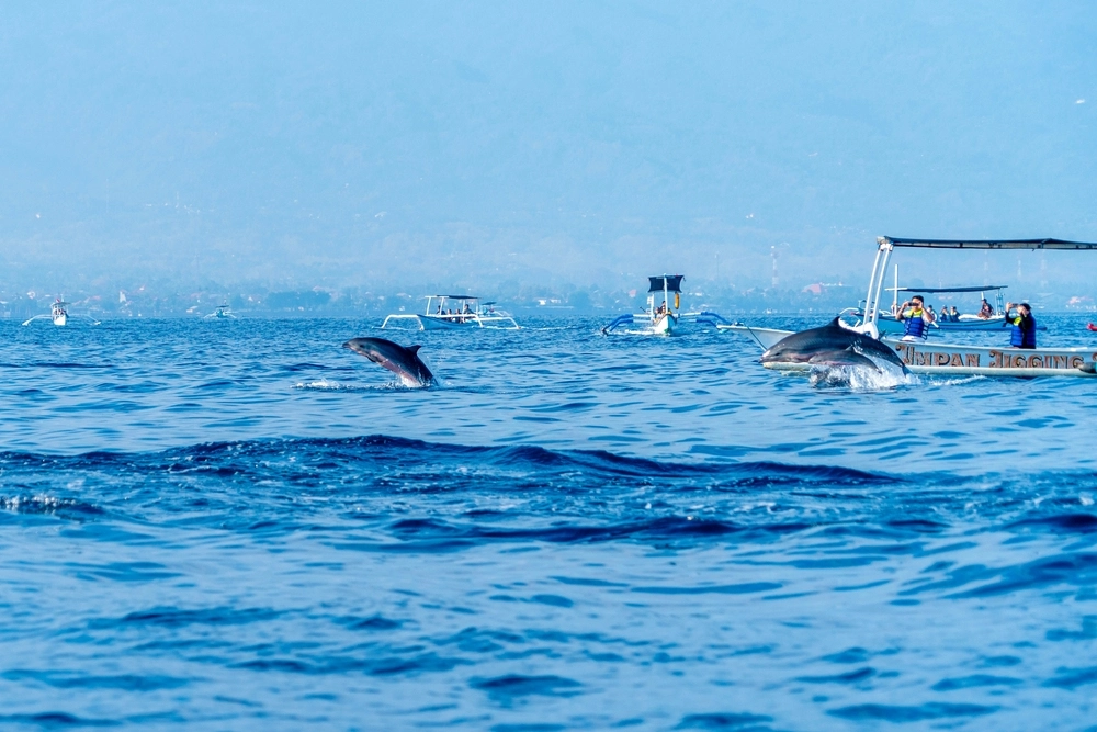 Lovina Beach Bali und die Schönheit seiner Unterwasserwelt