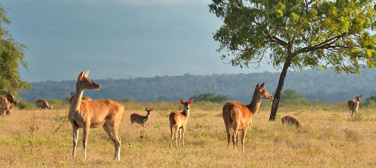 外南梦的7个名胜