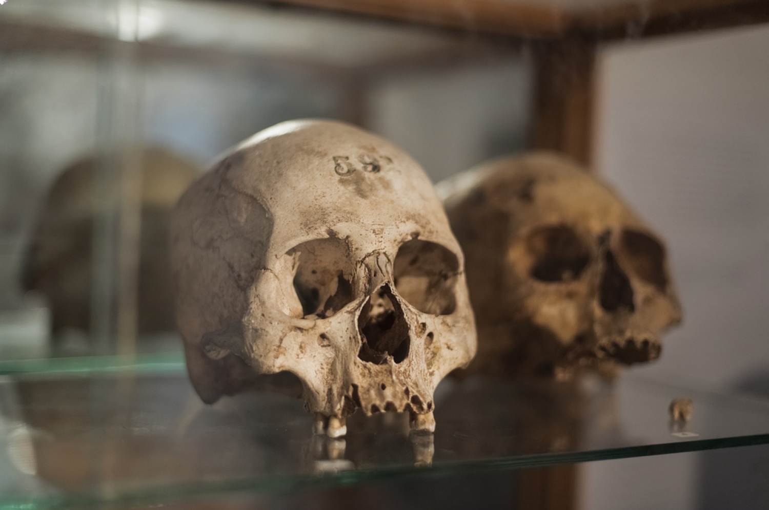 Museum Bikon Blewut