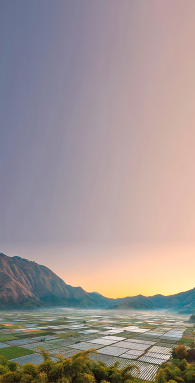 Background image for cruise banner mobile