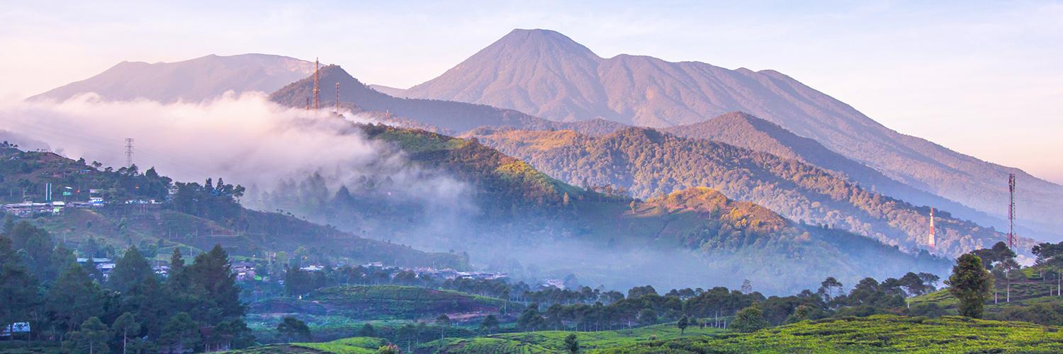 Bogor