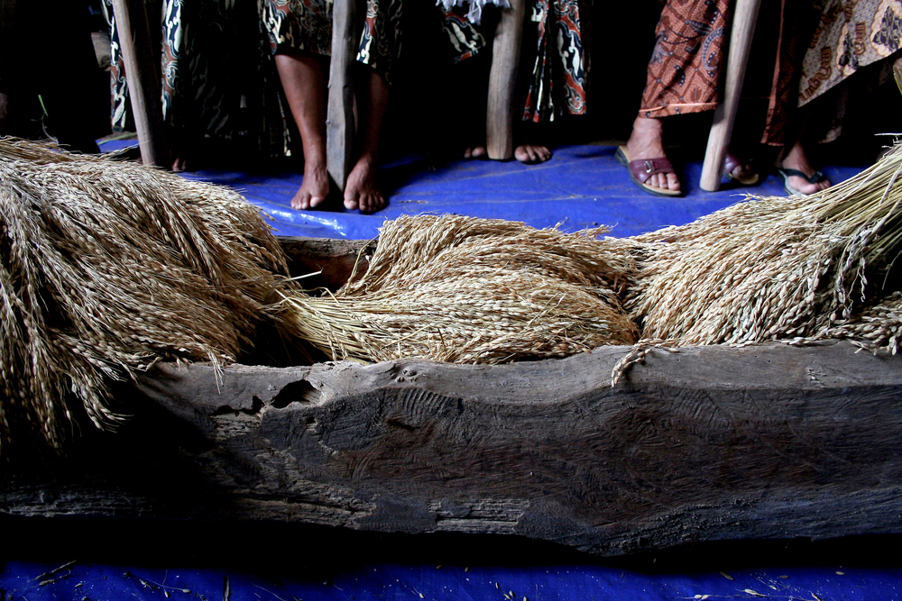 hero image for travel ideas detail