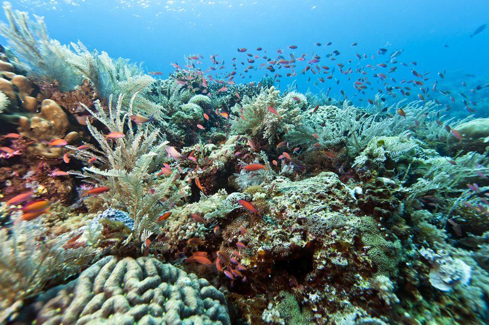 hero image for travel ideas detail