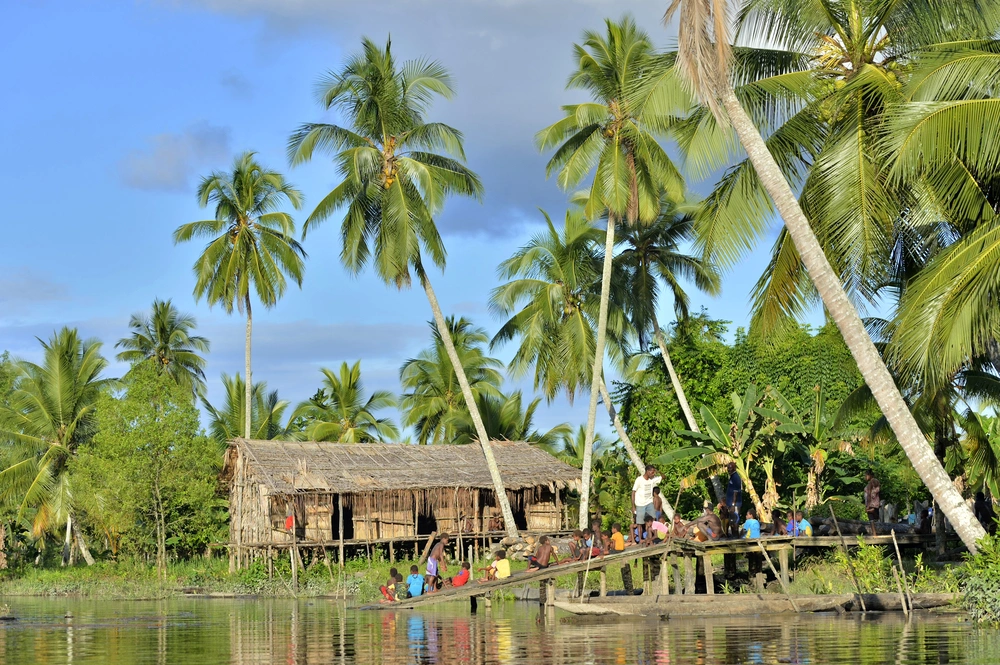 Jew: South Papua Traditional House