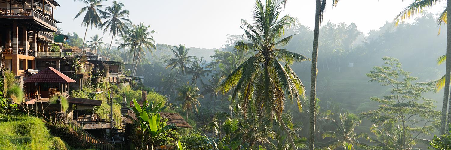 Seru dan Edukatif, 5 Aktivitas di Desa Wisata Mas, Ubud, Bali Ini Wajib Dicoba!