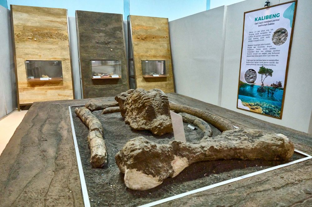 hero image for travel ideas detail