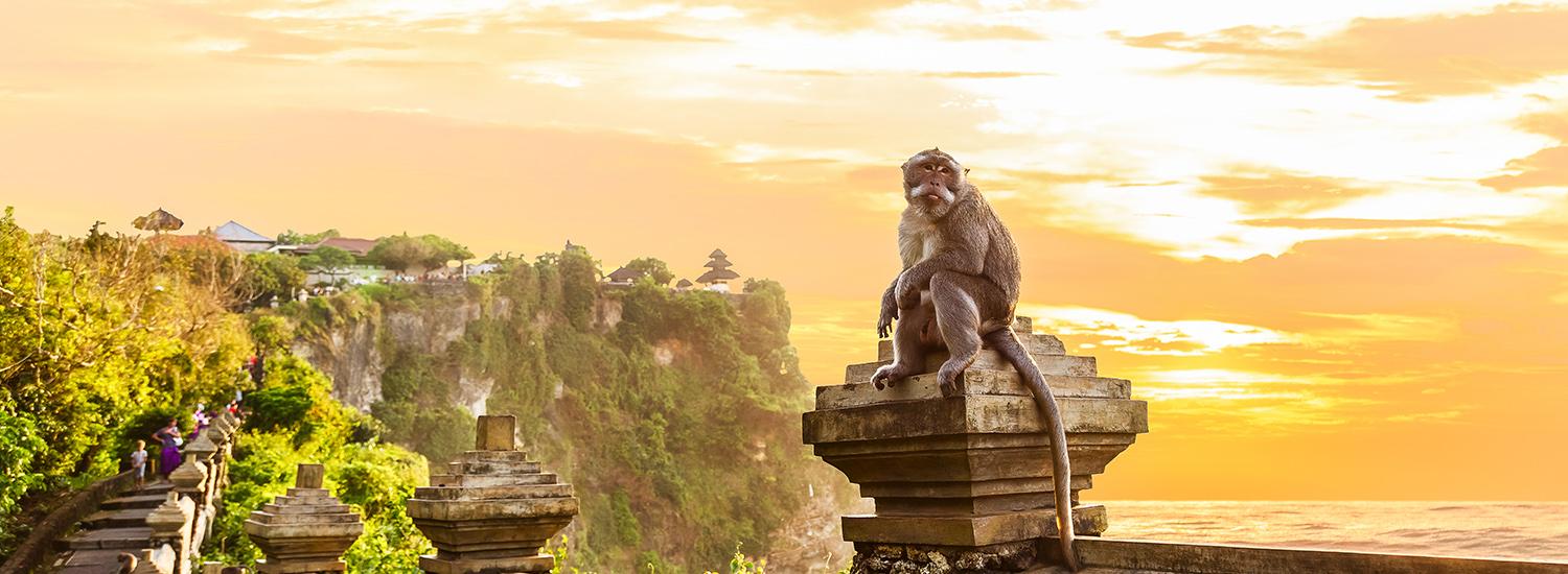 hero image for travel ideas detail