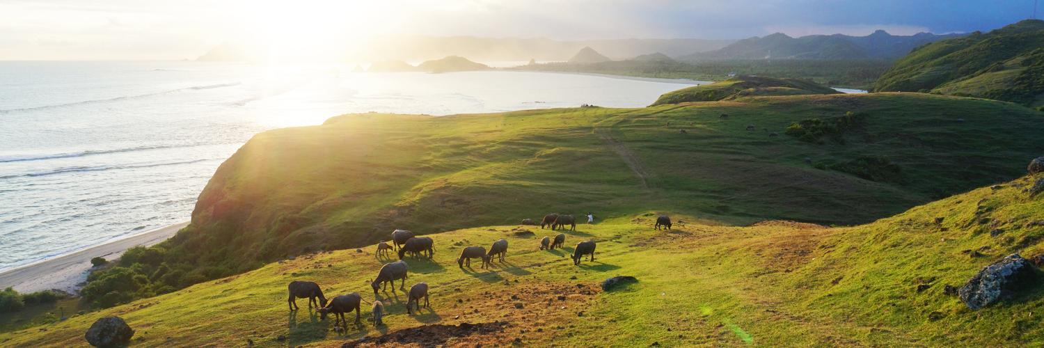 hero image for travel ideas detail