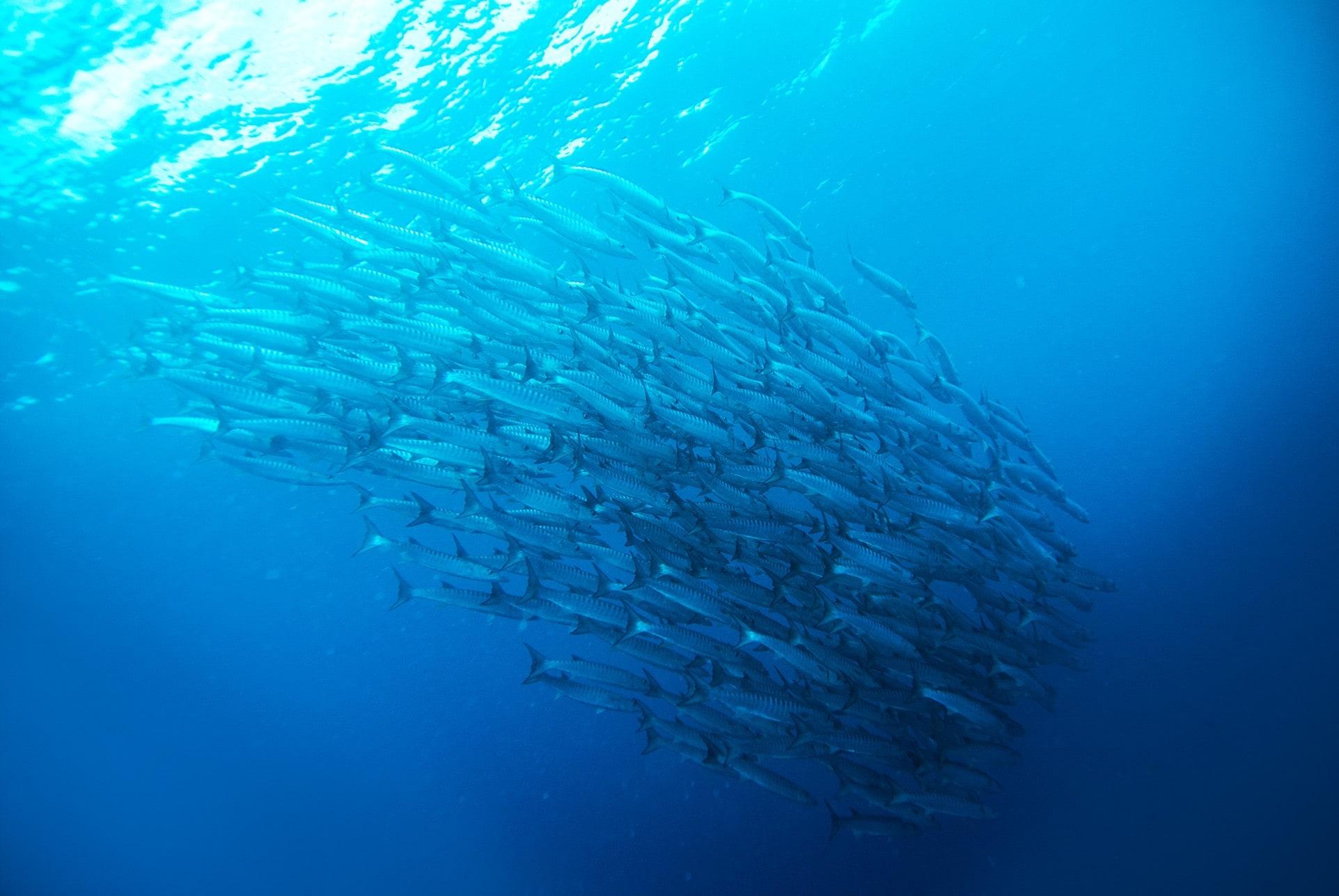 hero image for travel ideas detail