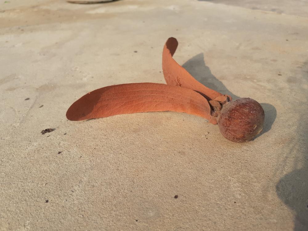 hero image for travel ideas detail