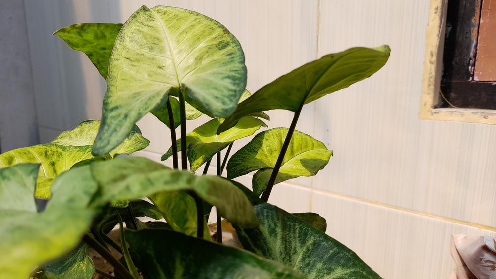 hero image for travel ideas detail