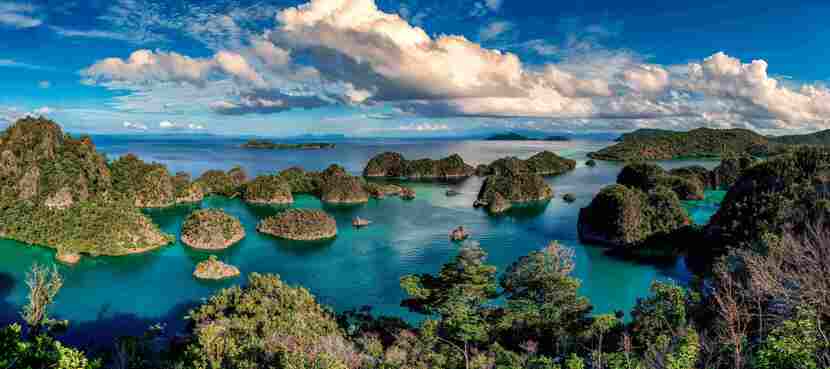 Berita Terbaru Indonesia