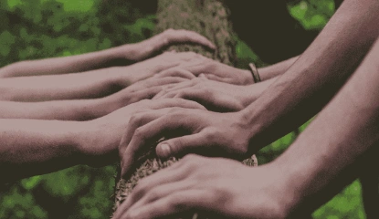 Kesempatan Kemitraan