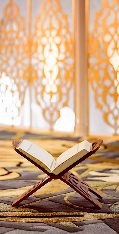 Background image for cruise banner desktop