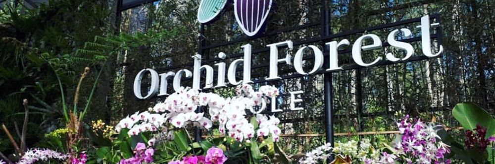 hero image for travel ideas detail