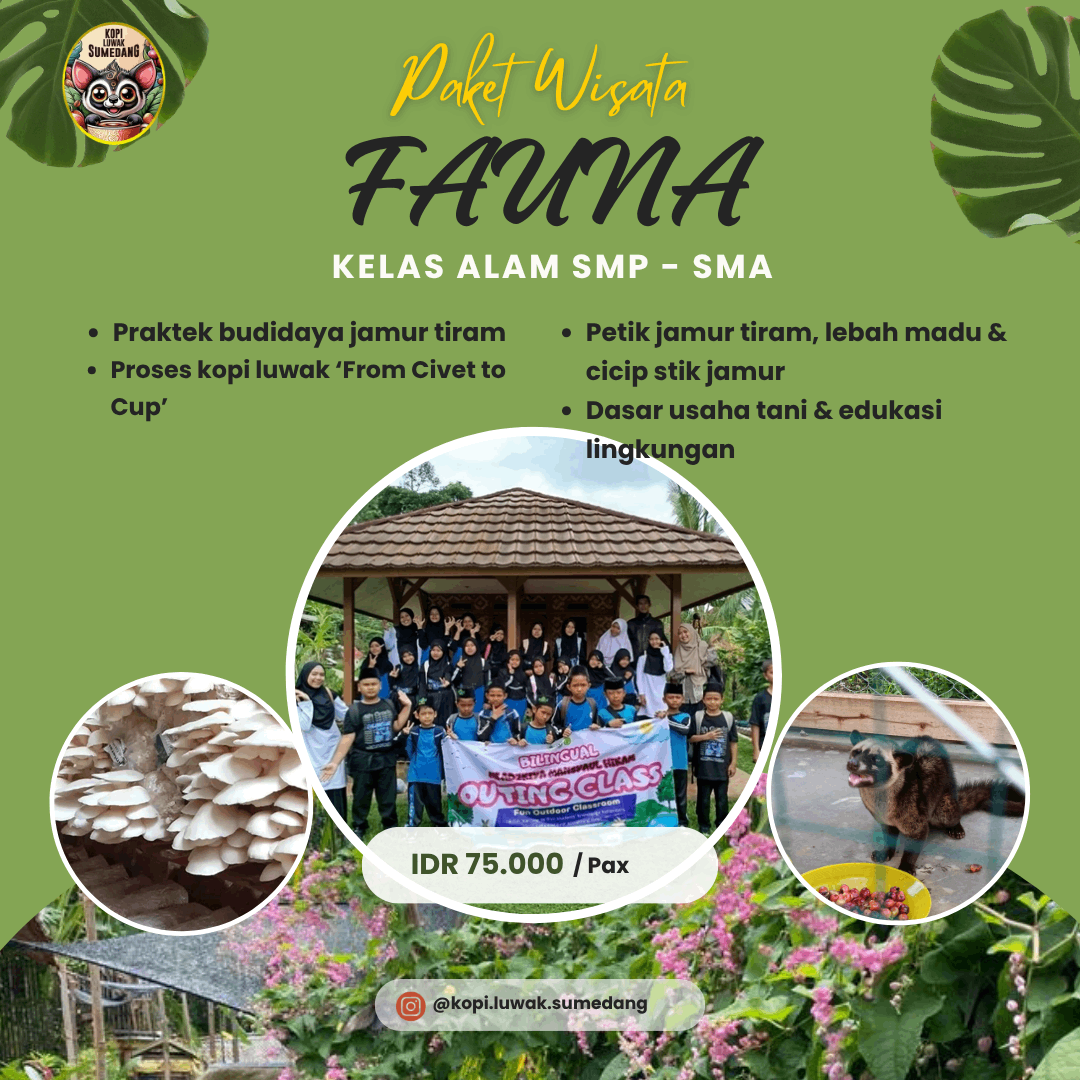 Edukasi Wisata Kopi Luwak