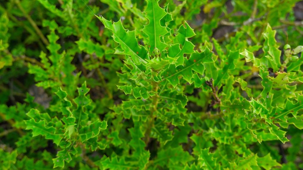 hero image for travel ideas detail