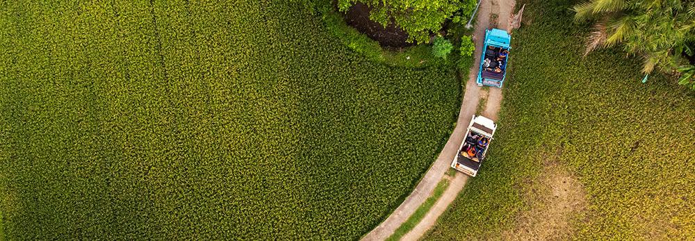 hero image for travel ideas detail