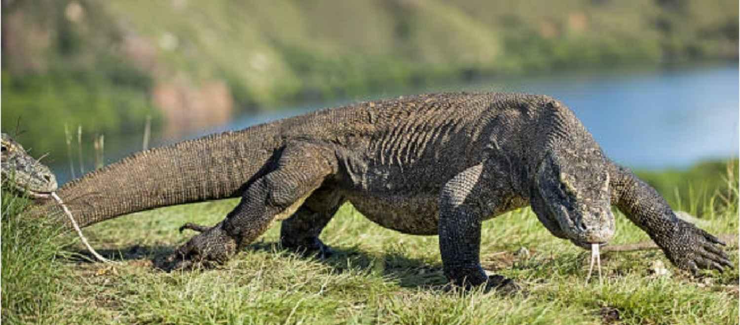 hero image for travel ideas detail