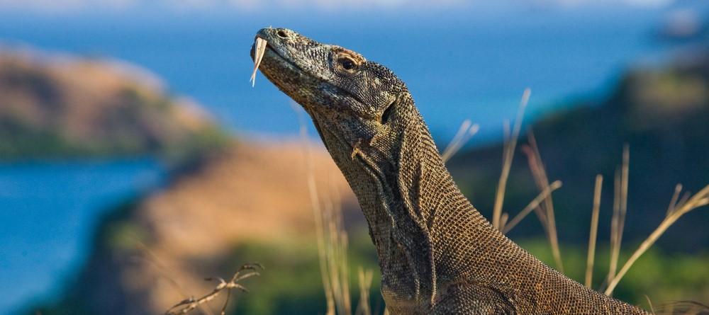 hero image for travel ideas detail